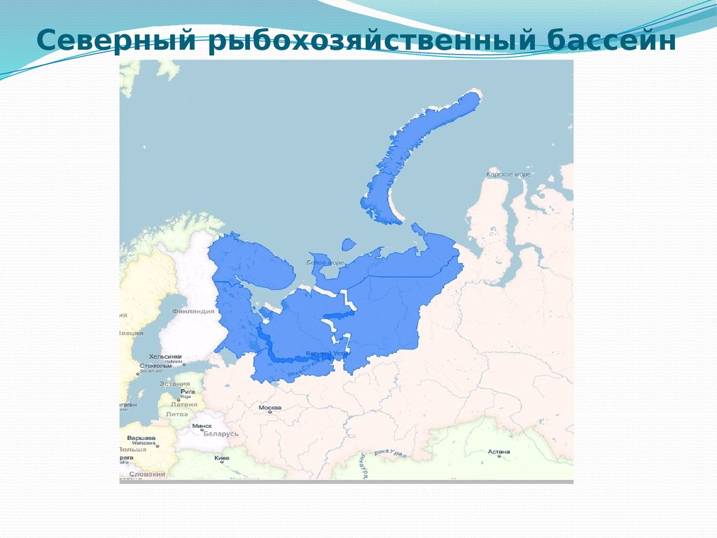 Двинско печорское управление. Районы промысла Дальневосточный рыбохозяйственный бассейн. Северный бассейн на карте России. Северный рыбохозяйственный бассейн карта. Рыбохозяйственные бассейны.