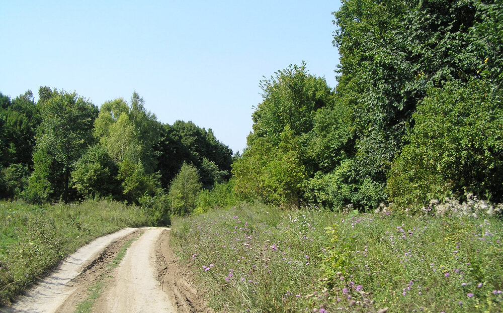 Дорога в самое сердце Самарской Луки