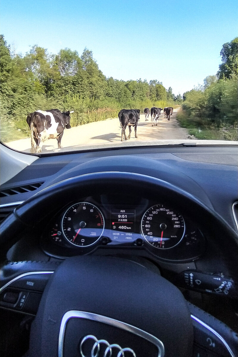 Северные дороги. Листайте-->