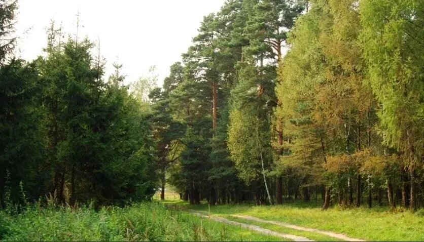 Заказник "Жулебинский". Фото: Facebook