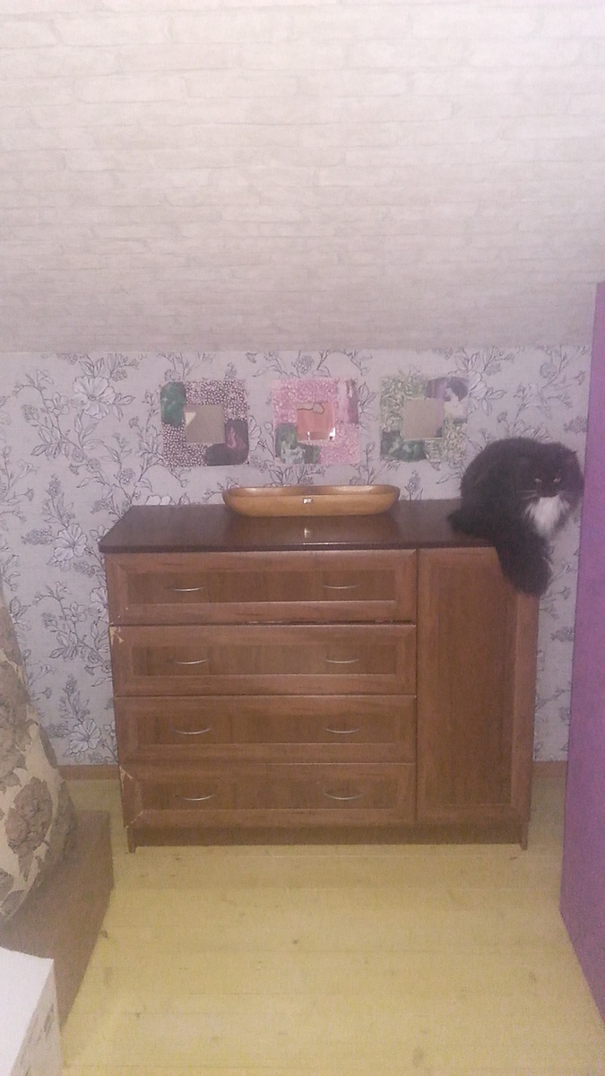 Вид от входа. Без кошек-никуда. Фрида.