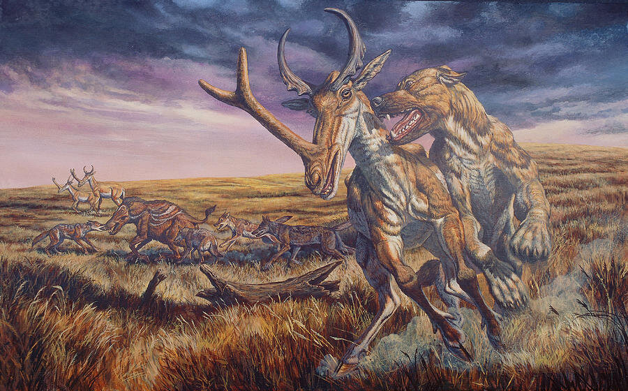 А вы точно остеопат?