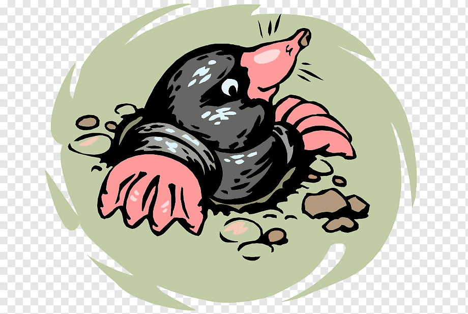 Ну и остановился на кроте