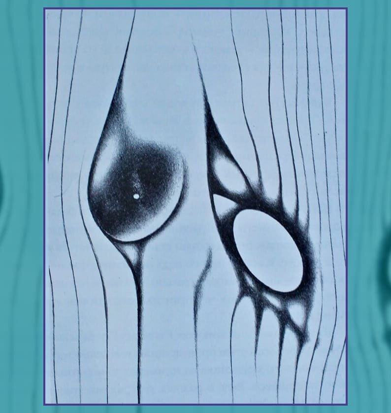 1963. Белая грива. (бумага, карандаш)