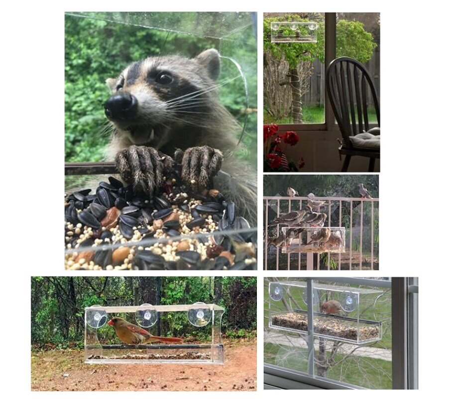 Стеклянная кормушка для птиц