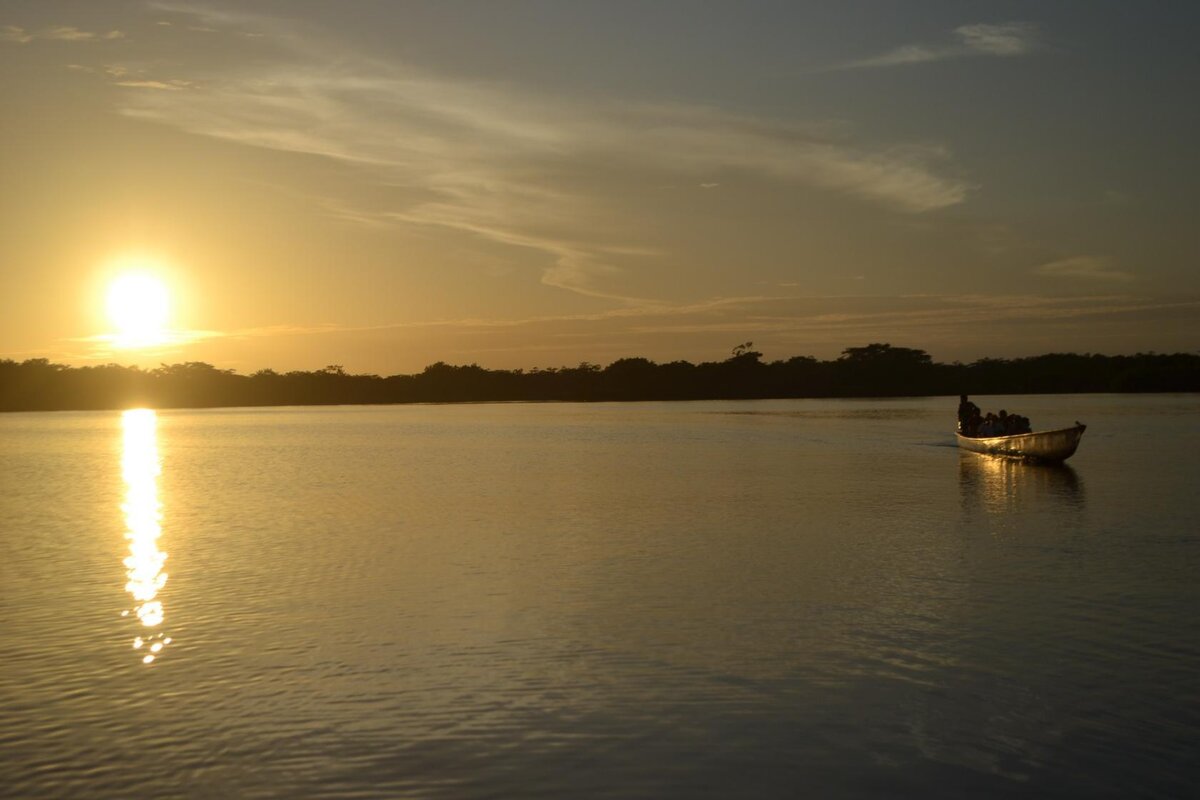 Итак,поехали.Прихватив несколько канистр с бензином и пищи на неделю индеец-гид проживающий в этих местах посадил нас в каное и мы двинулись по лагуне вглубь джунглей.Солнце садилось,электричества в этих непроходимых местах нет и становилось жутко.Полная темнота и неизвестность.