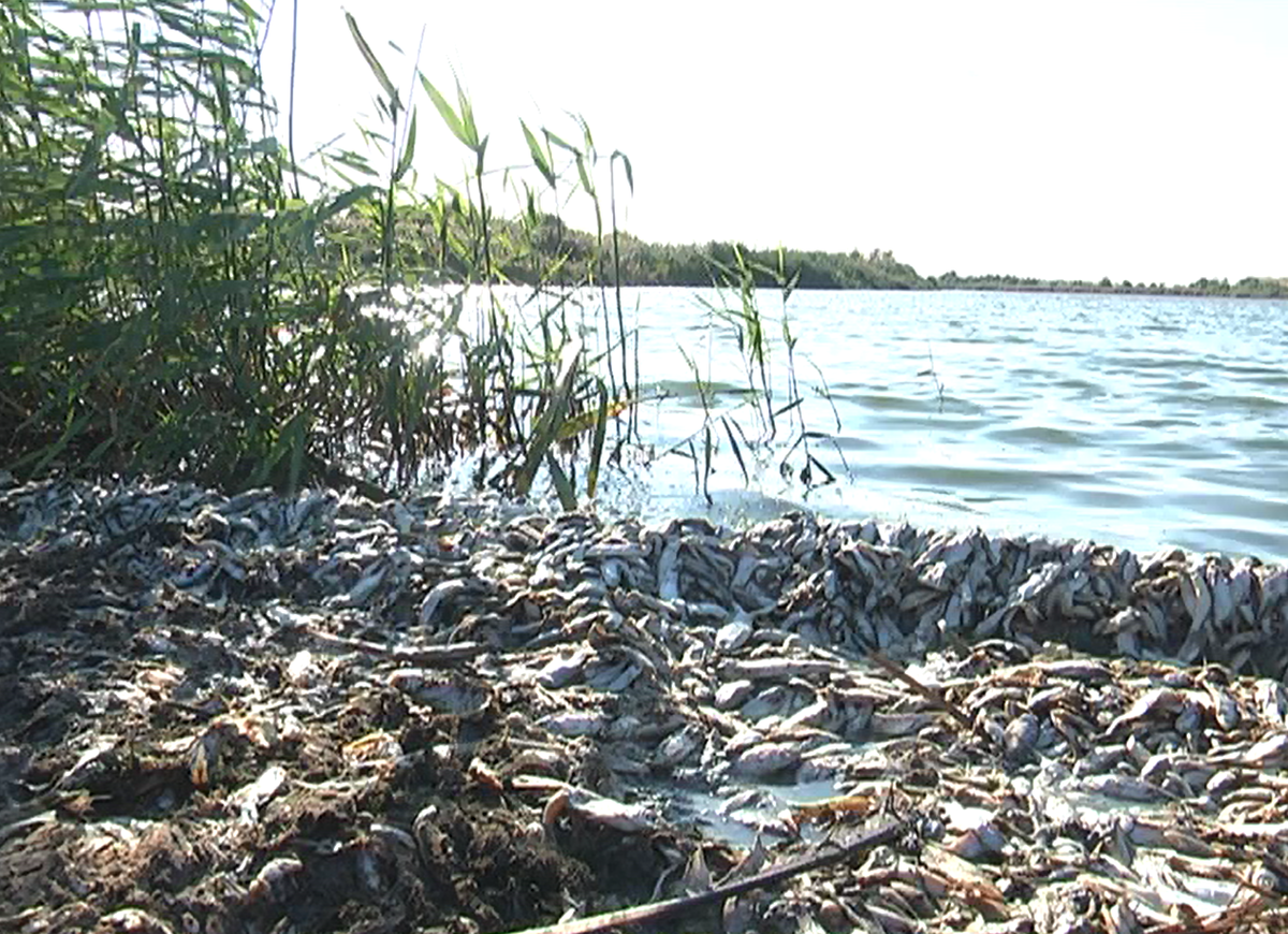 Место происшествия