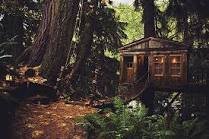 Картинка из инета