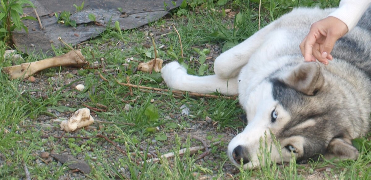Костное место