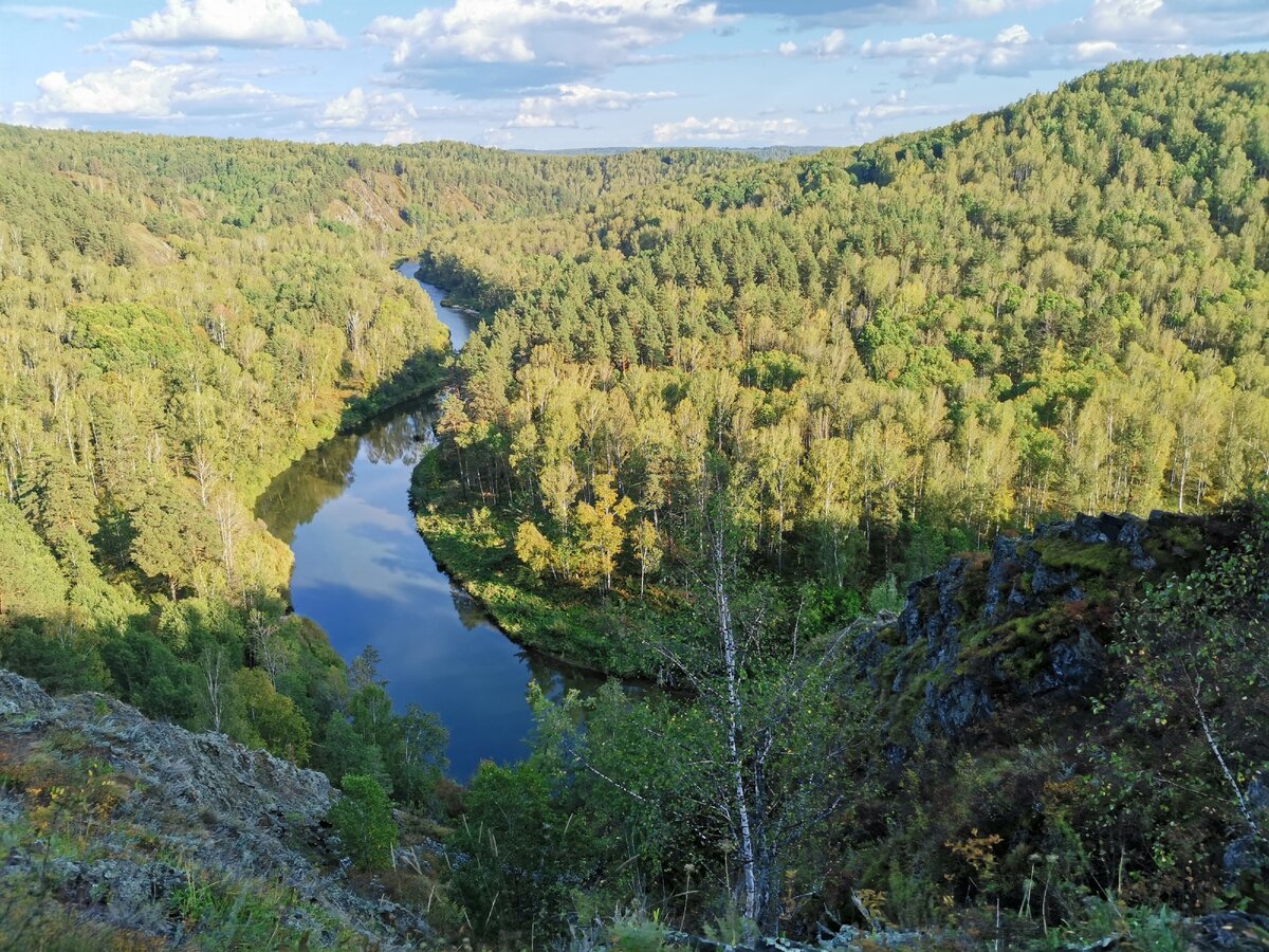 река бердь новосибирской области