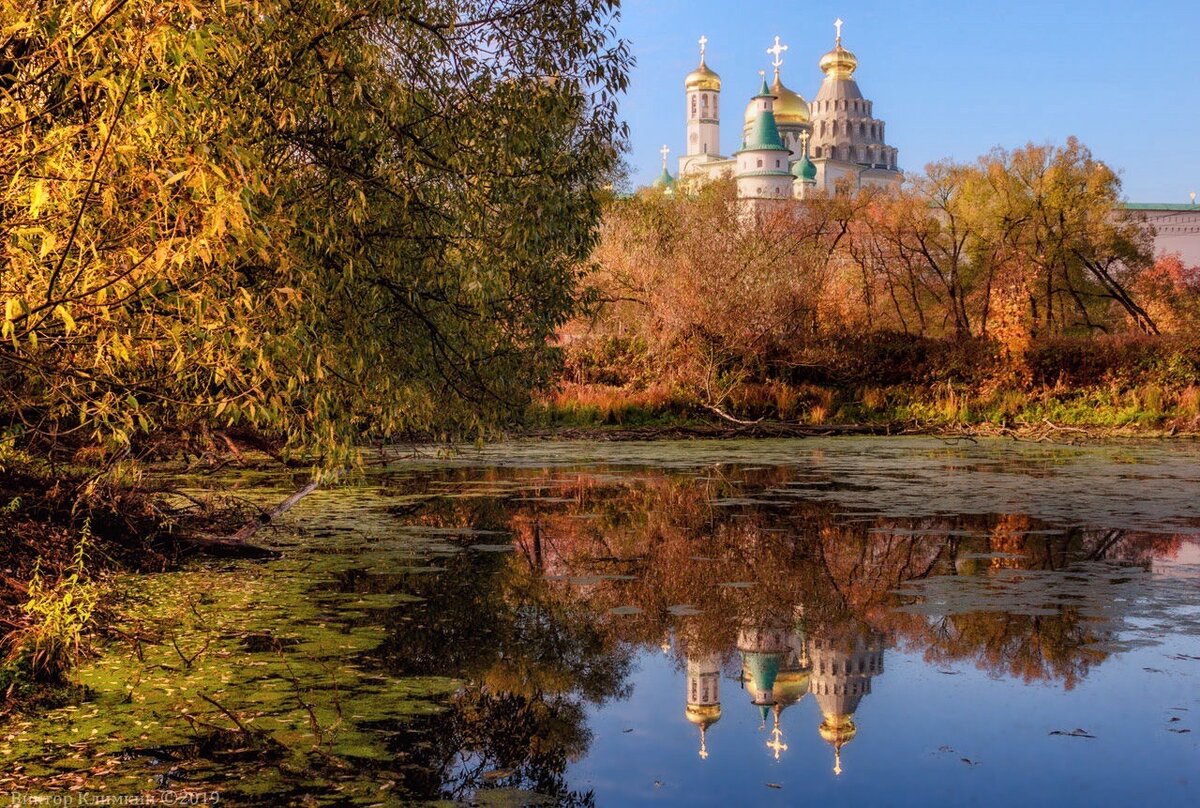 фото сайта yandex.ru