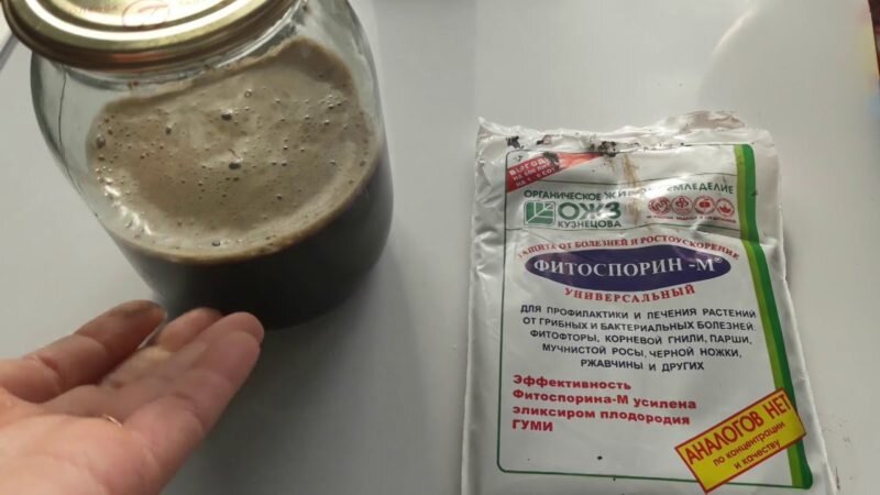 «Фитоспорин». Иллюстрация для статьи используется с сайта legkovmeste.ru