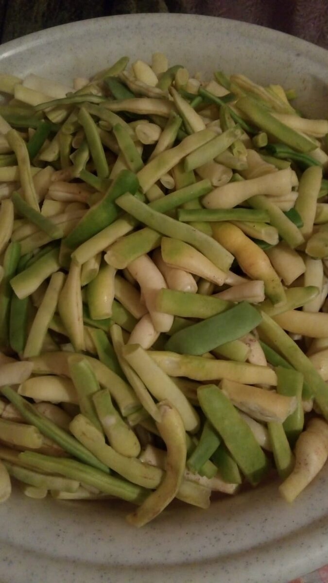 Фасоль, подготовленная к заморозке