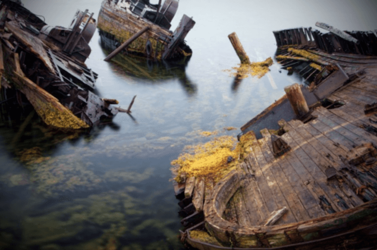 Фото из открытых источников