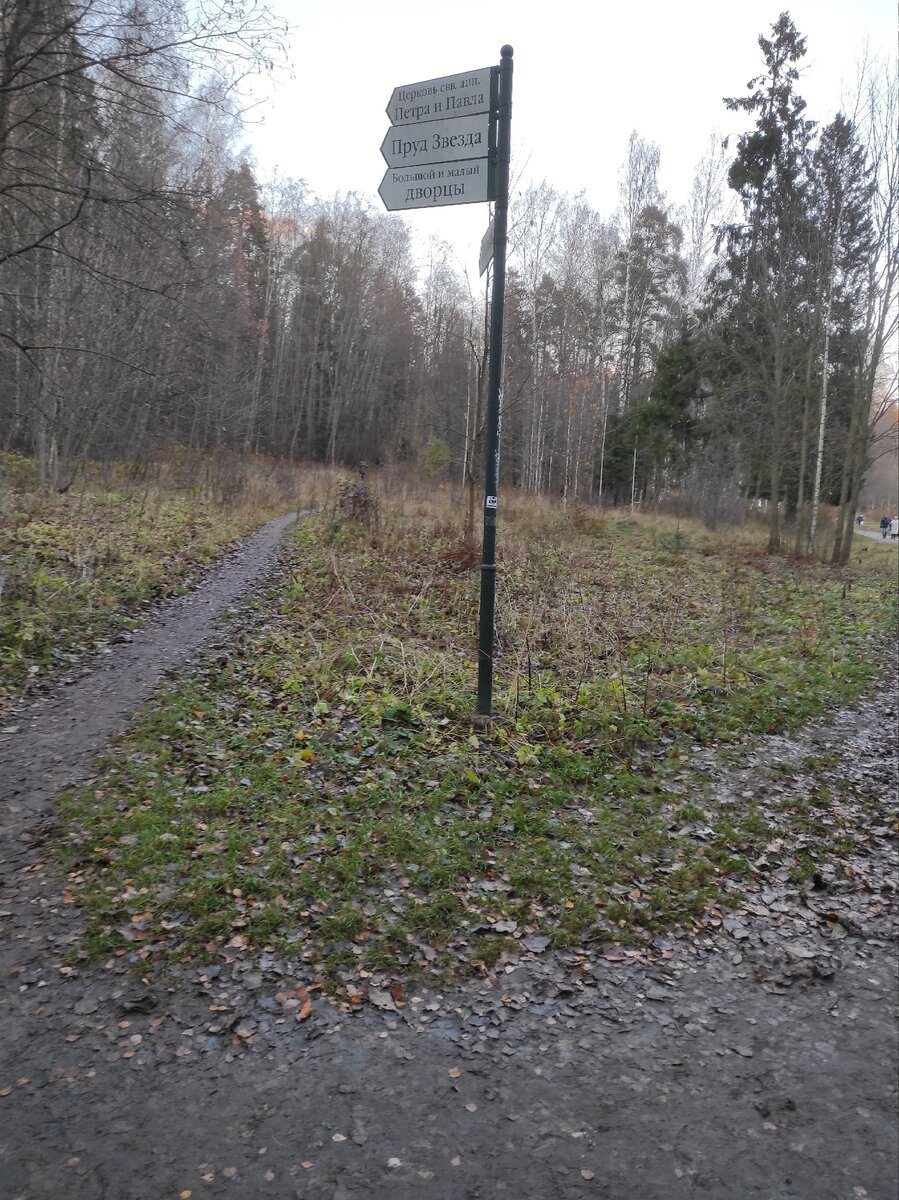 Налево пойдешь, не шиша не найдешь...