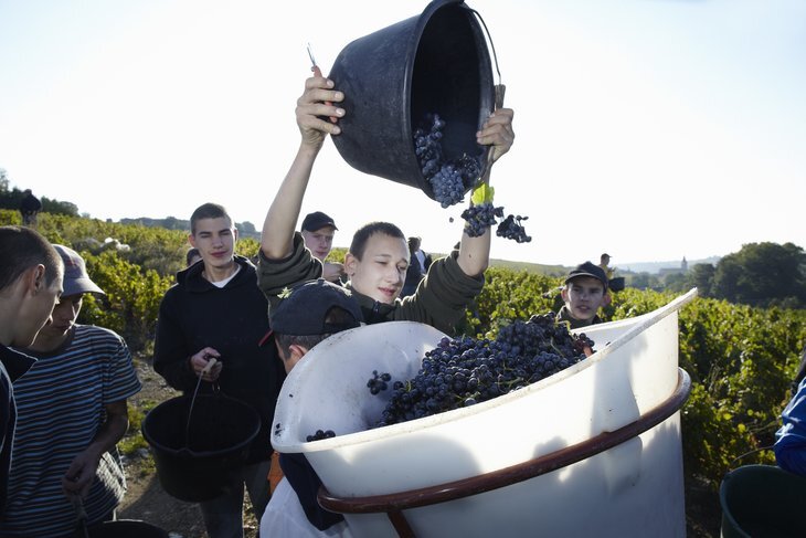 Фото: Getty Images