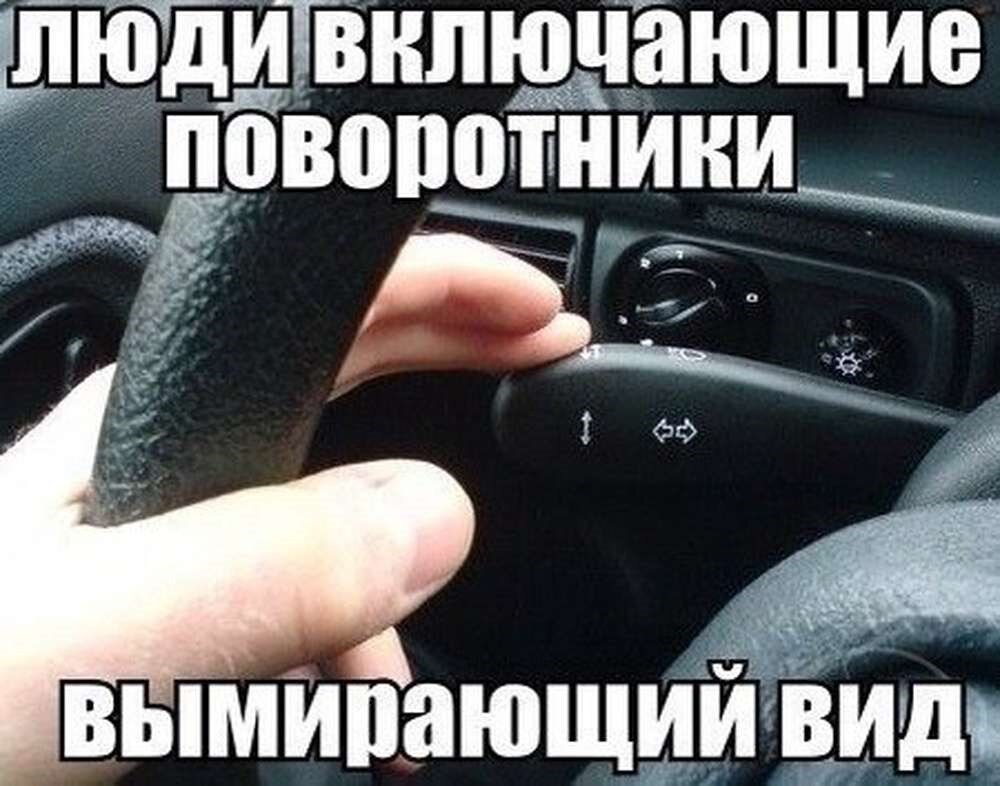 Фото с Яндекс Картинок.
