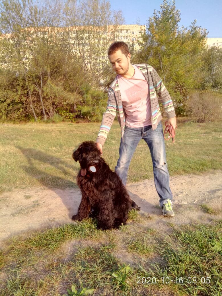 Резеншнауцер Грета с Владимиром