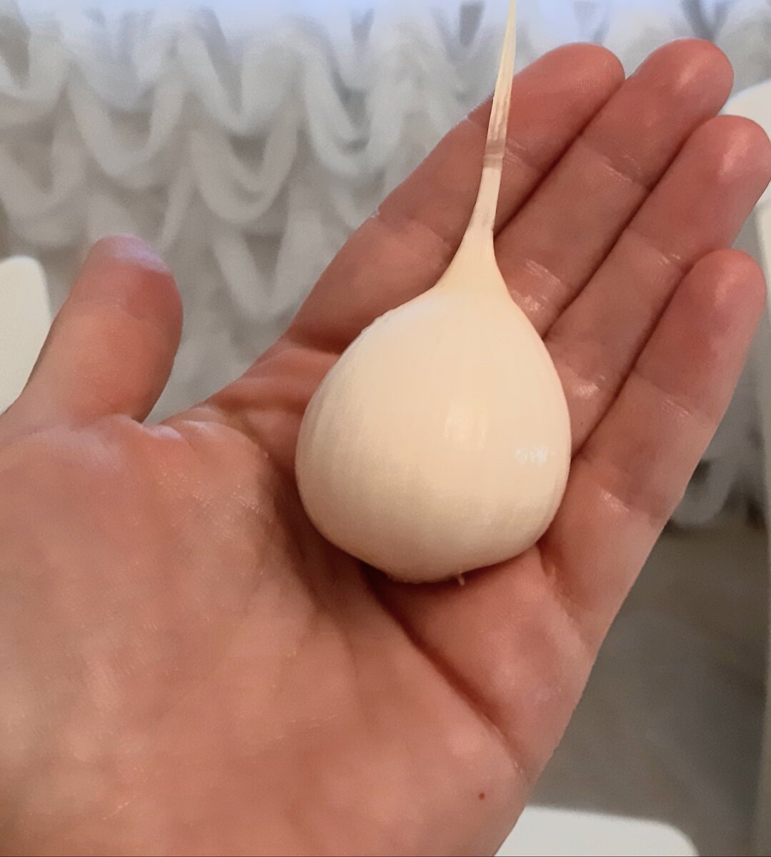 Это только долька!