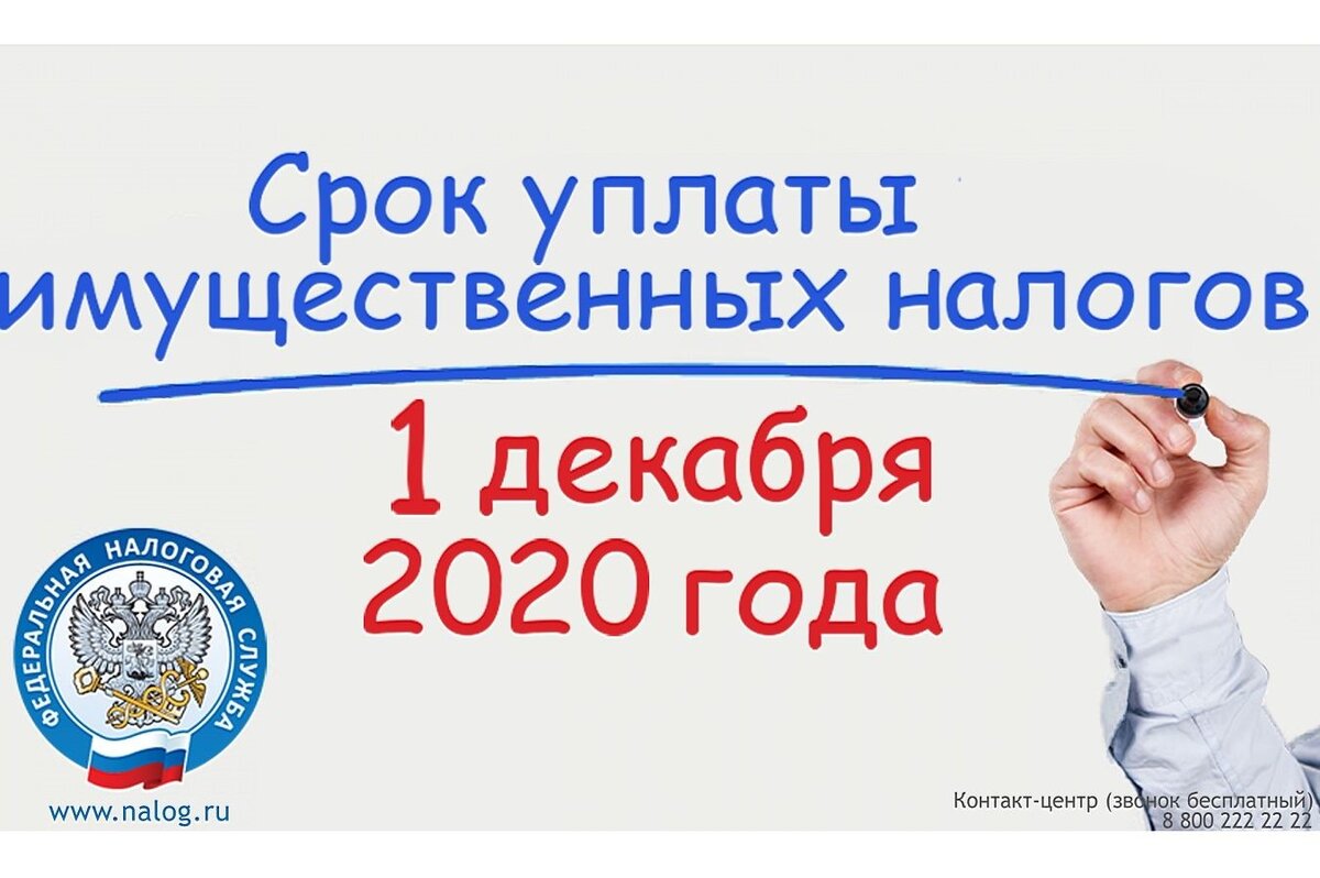 Сроки уплаты налогов 2020. Срок уплаты налогов до 1 декабря. Срок уплаты имущественных налогов. 1 Декабря срок уплаты имущественных налогов. Срок оплаты имущественного налога до 1 декабря.