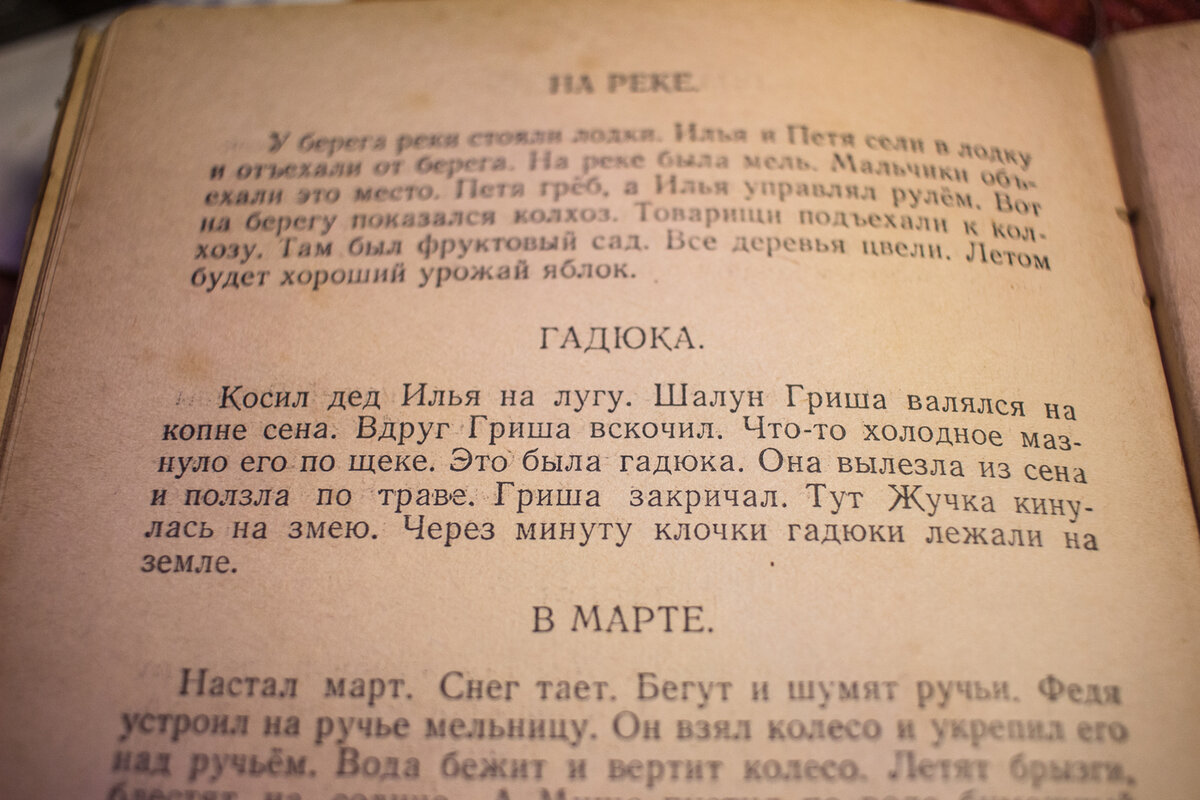 Диктанты для младшеклассников из 1952 года. | Ярина Яриловец и ее орхидеи.  | Дзен