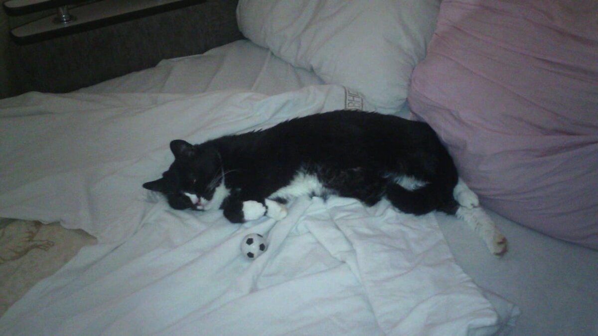 Привет из дома