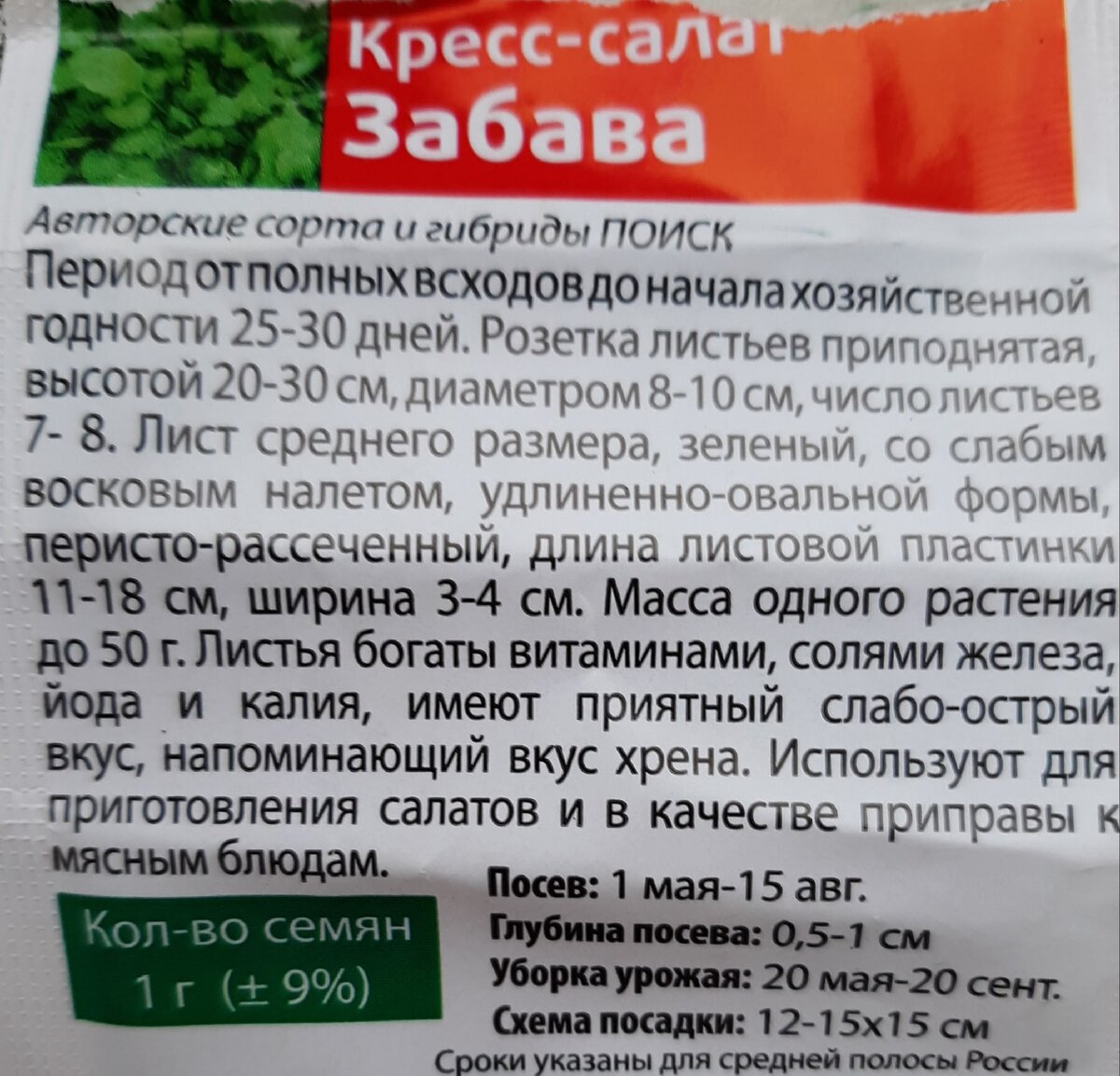 Первые всходы в домашней тепличке. Сажаю микрозелень | Роман М. | Дзен