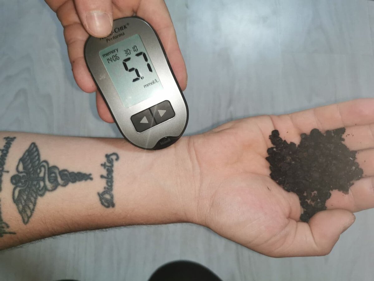 В руке сушеная черника/Фото:Сделано автором канала.