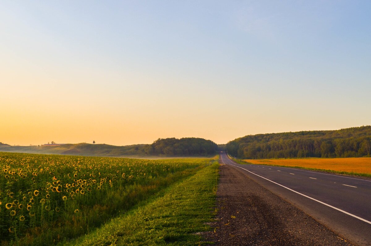 Дорожная история. Реальная история о чудесном спасении. Удивительные истории. Жизненные истории.