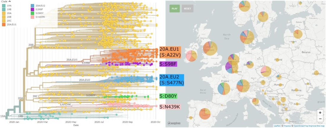 Слева направо: штаммы коронавируса, начиная от начала пандемии до октября 2020. Желтый - штамм 20B Оранжевый - штаммы 20A.EU1 и т. д. На карте их распространение по странам в виде диаграмм.