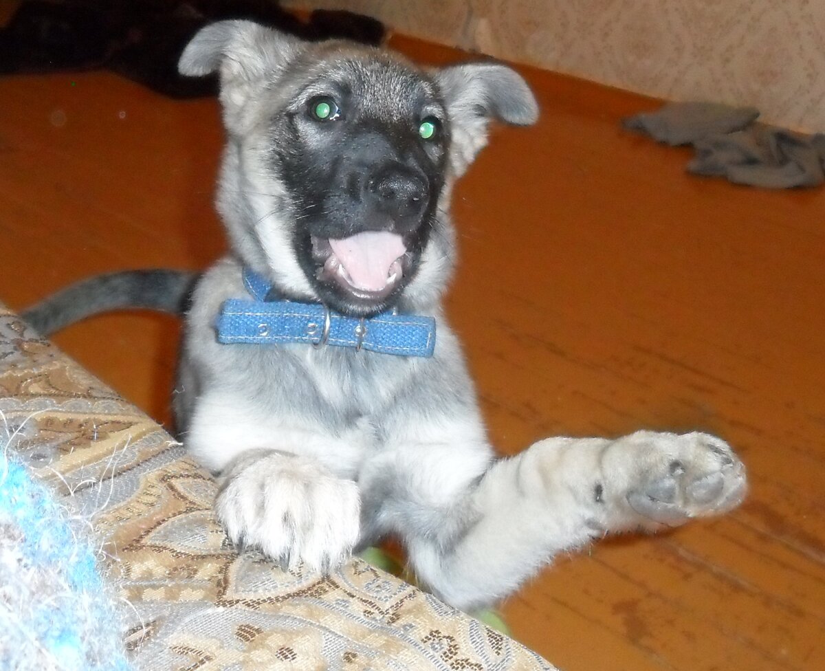 Из личного архива жены