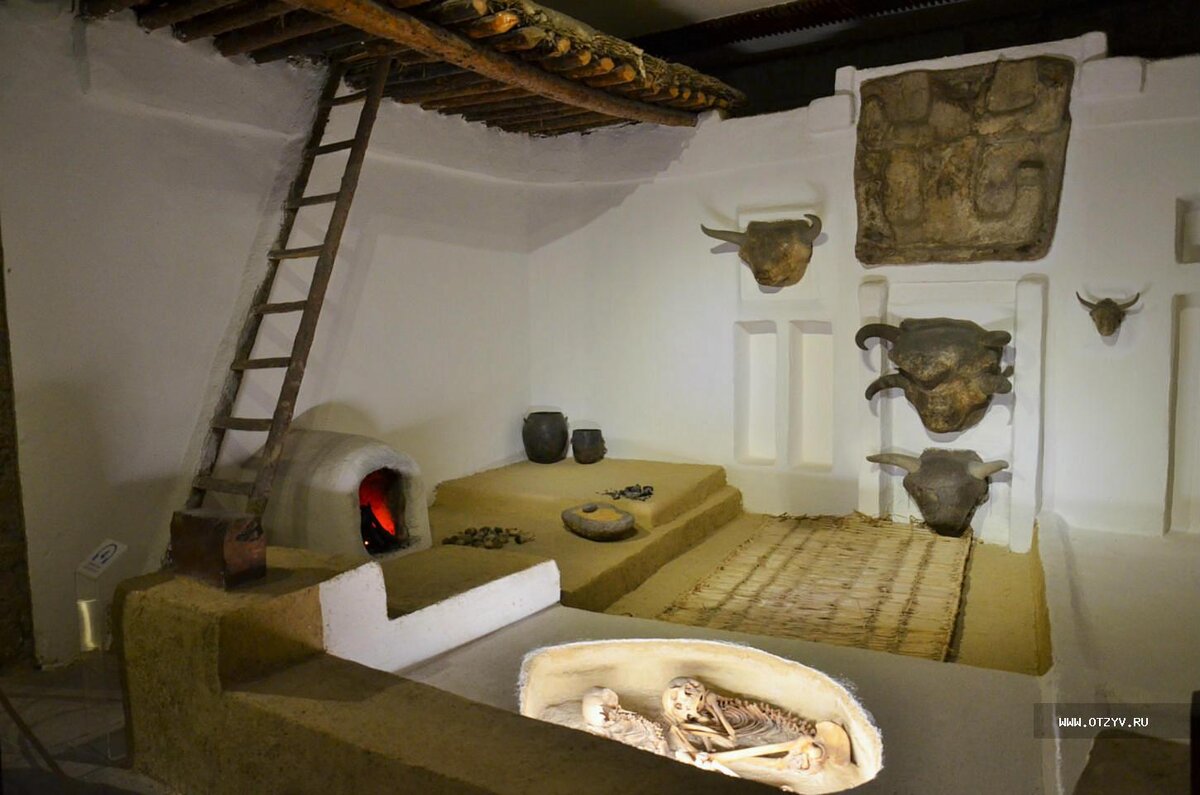 (Иллюстрация из открытых источников)