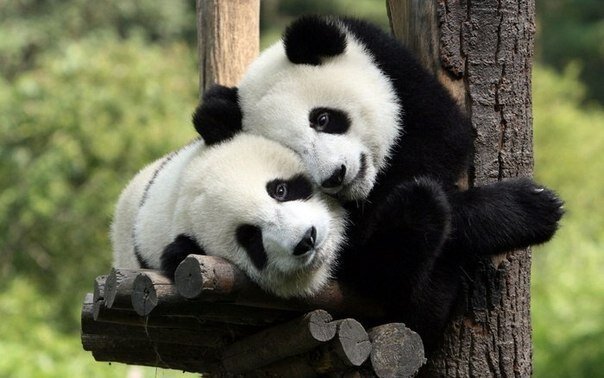 Источник: Яндекс.Картинки