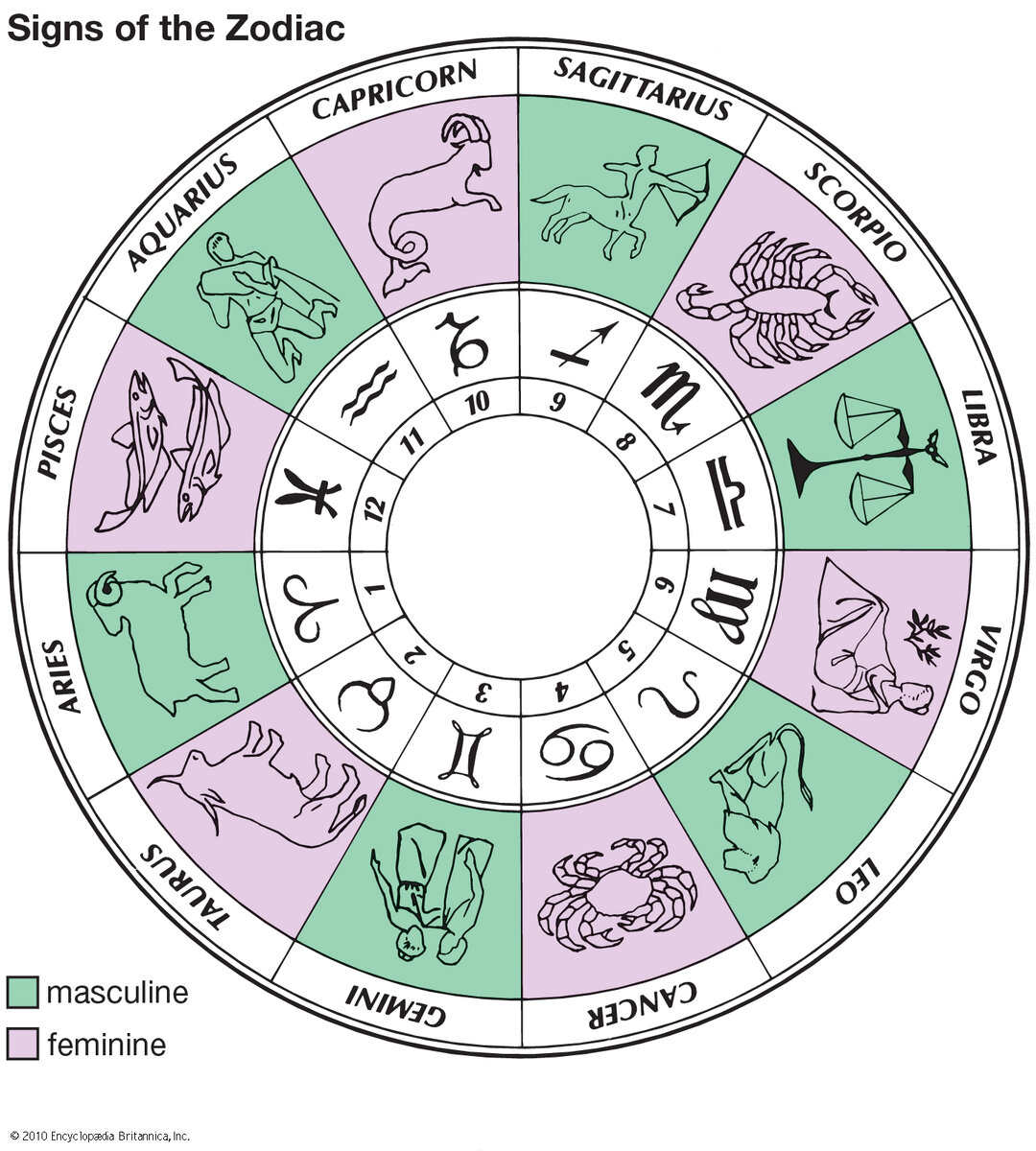 10 октября какой зодиак. All Zodiac signs. Zodiac sign months. Feminine Zodiac signs. Zodiac signs facts