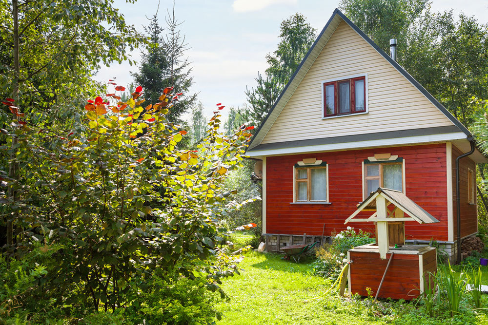 Фото из интернет