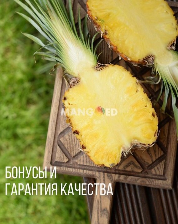 Фото Mangoed.ru