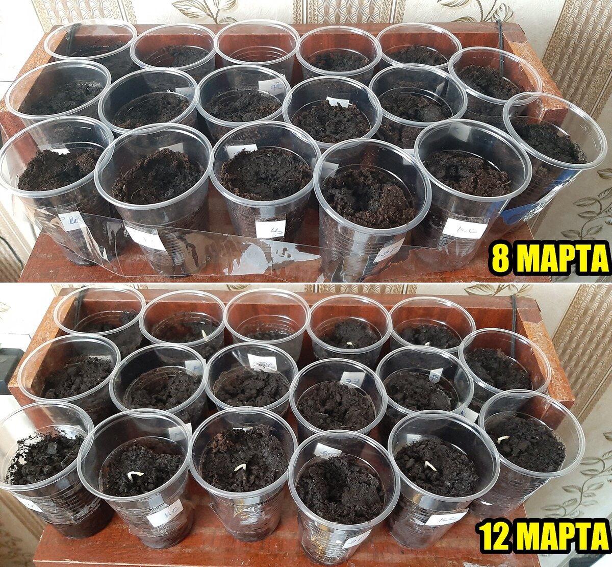 Изменения за 4 дня