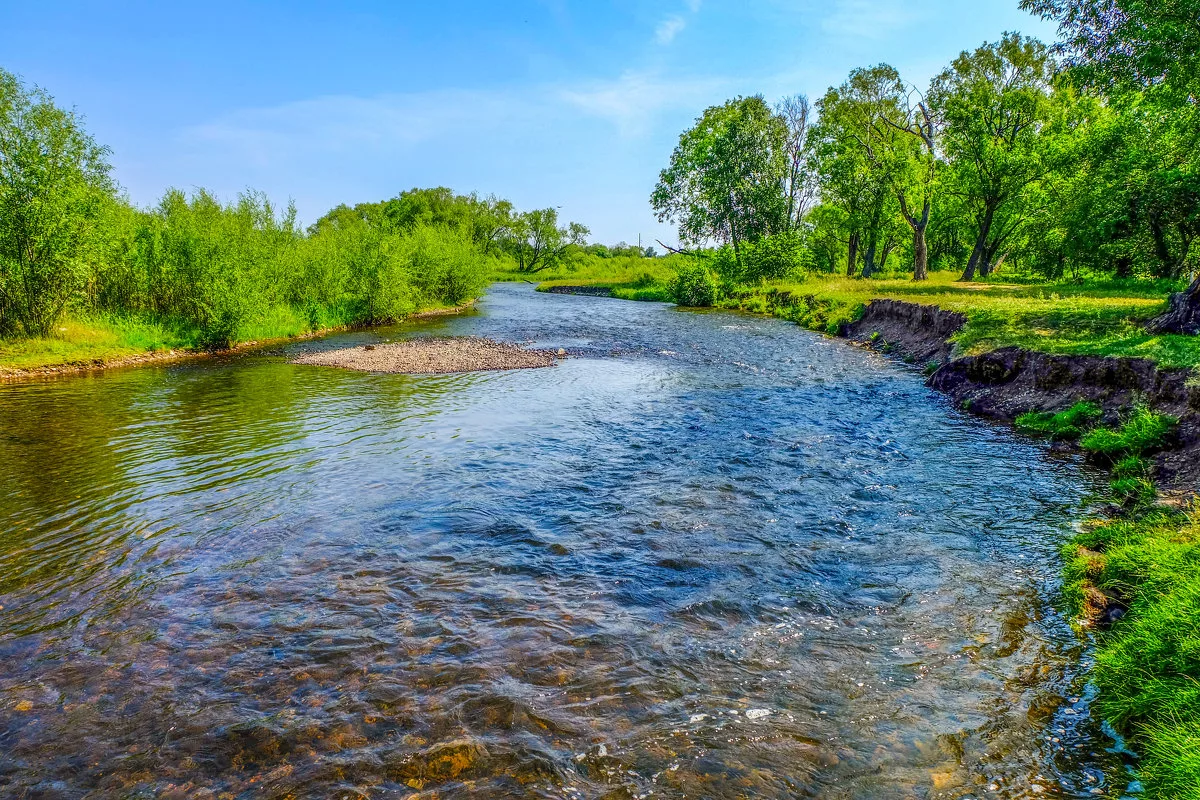 Сонник река. Река Яксура. Река Ратца. Чистая река. На речке.