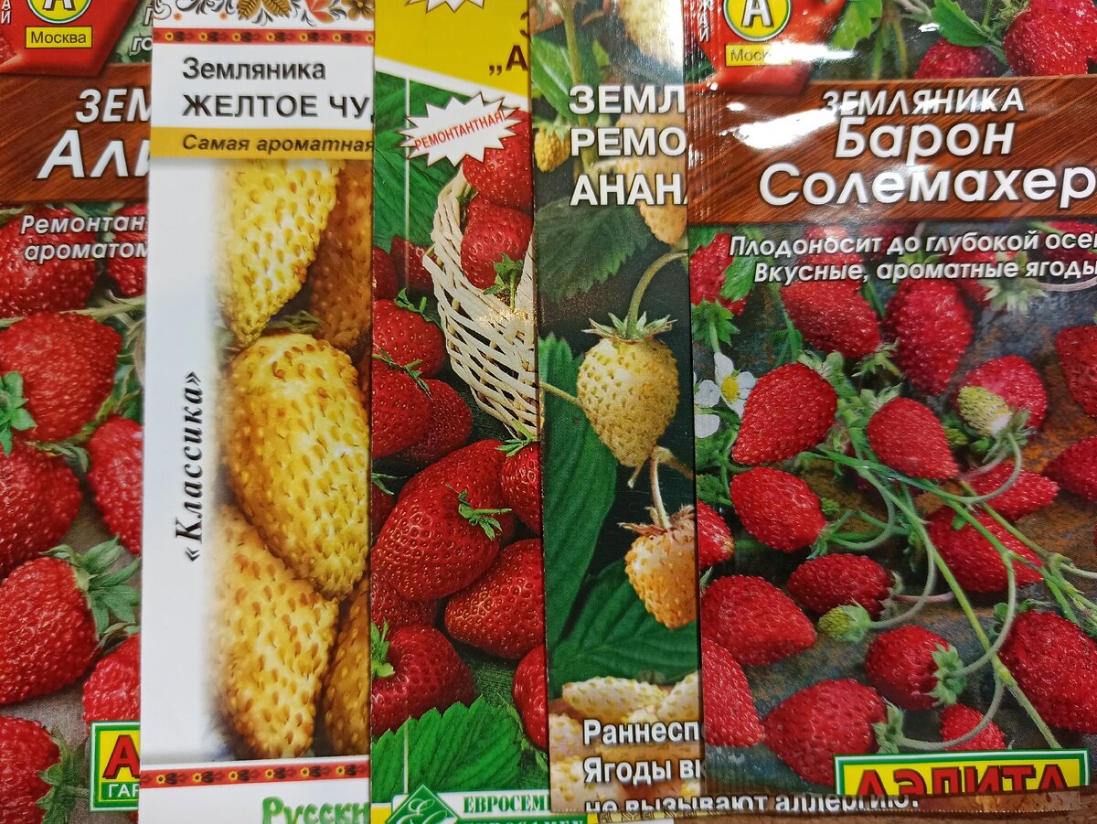Наш выбор земляники на 2021 год.