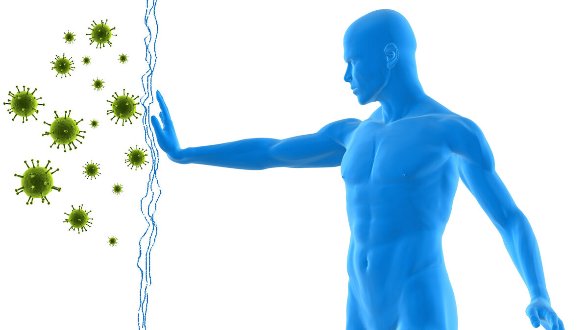 Взято из открытого источника Яндекса