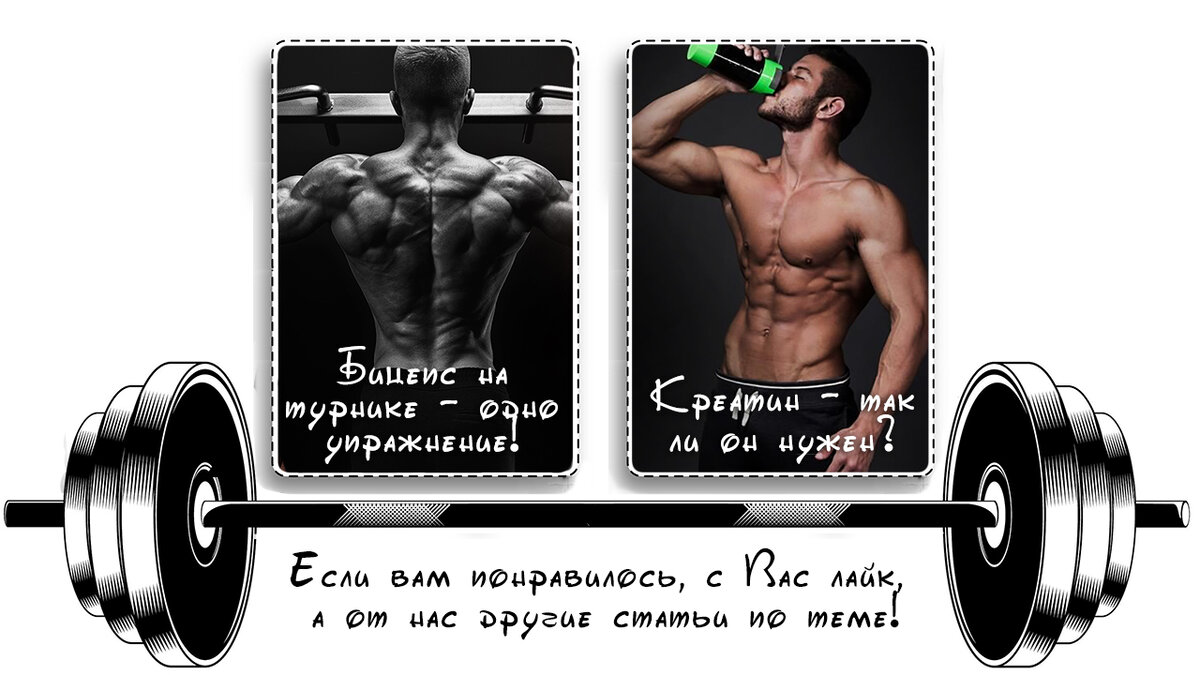 Особенности тренировок с фитболом, когда он не только для девушек | FIT FOR  FUN | Дзен