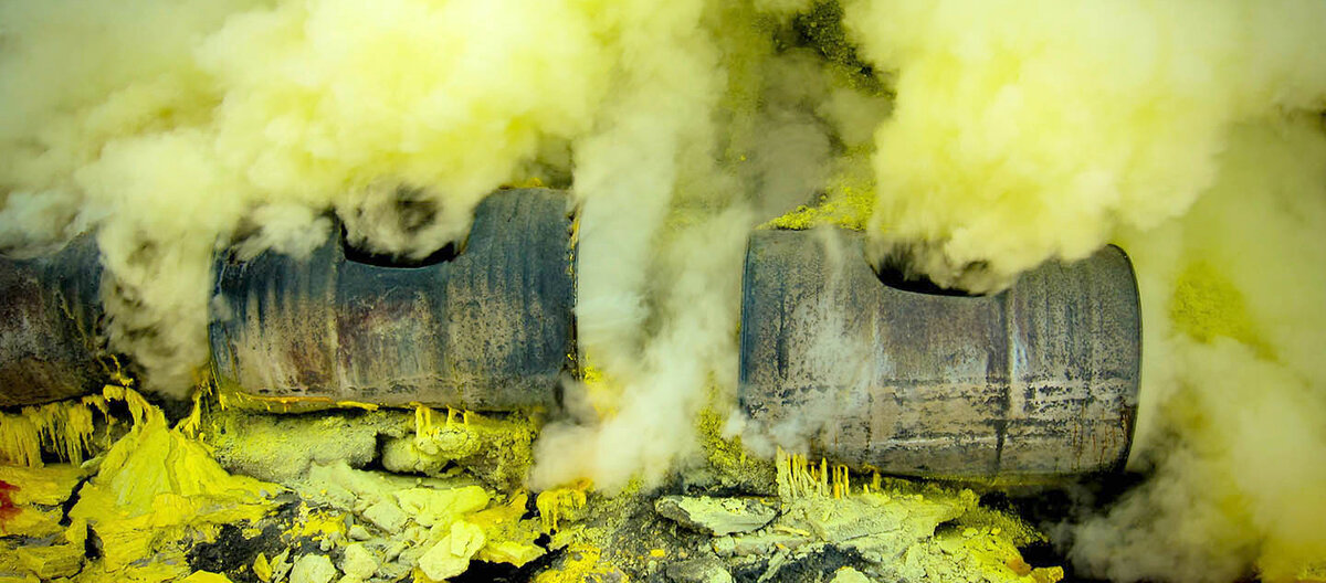 Филодендрон село, 