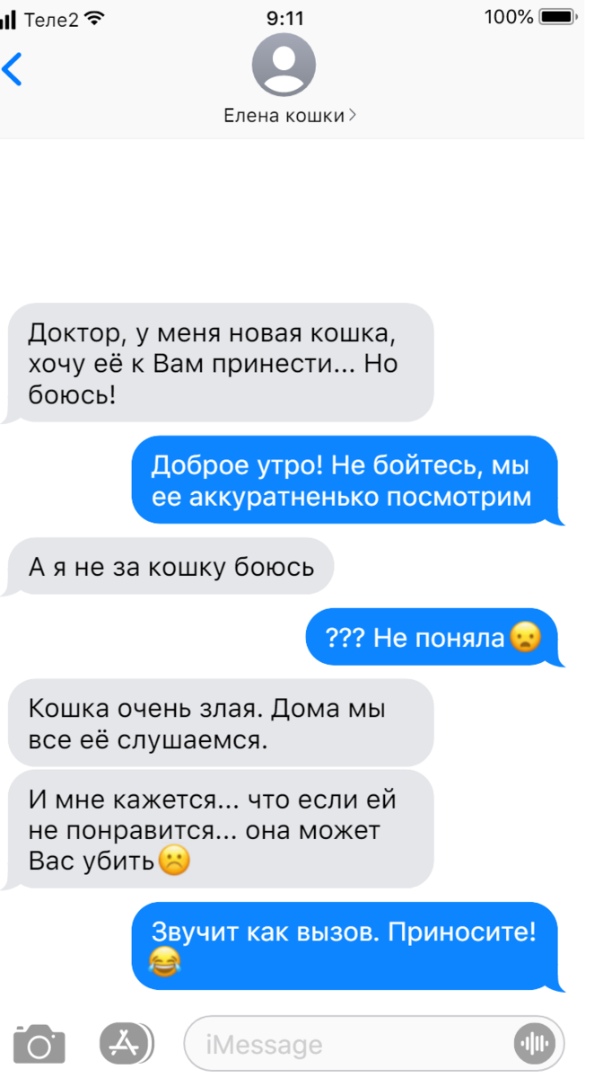 Записки ветеринара. Как пугают ветеринара, в смешных переписках | СобачьЯ  жизнь | Дзен