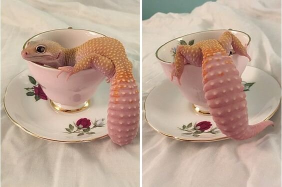 Источник:https://www.pinterest.ru/pin/507288345513884168/  Как не стоит делать)