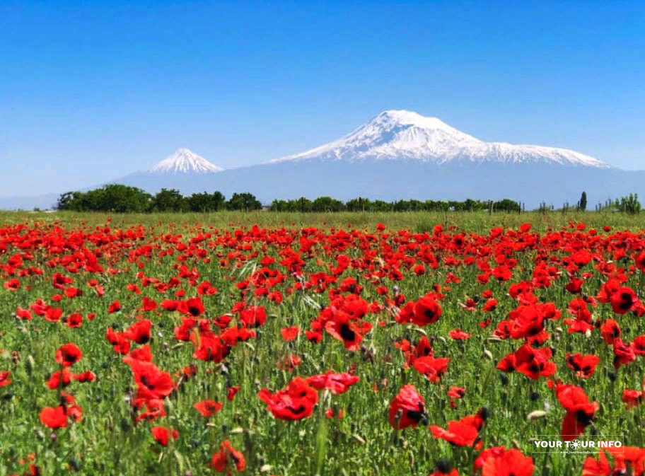 Армения Араратская Долина село Арарат