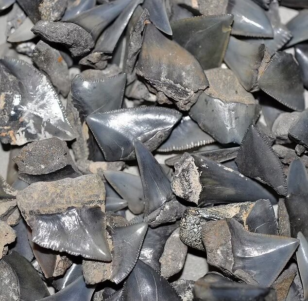 Источник: yandex.ru 