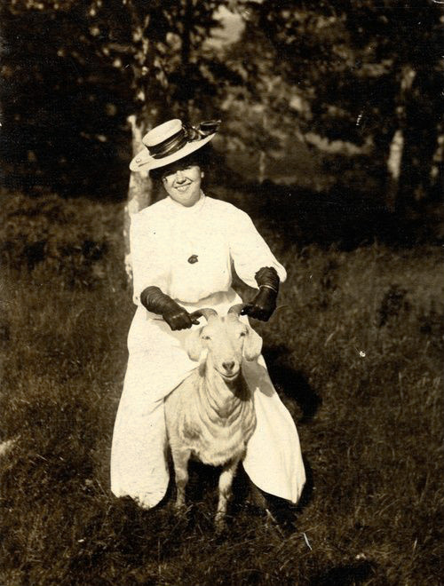 как она ее поймала?)