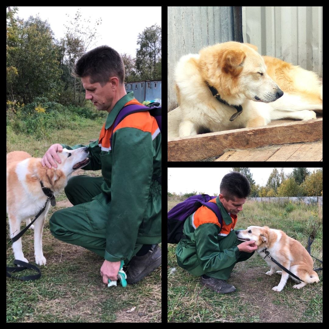 Белла и её куратор в приюте Алексей