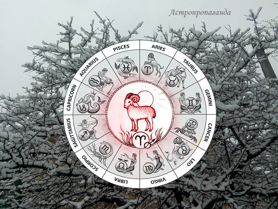 Гороскоп овен 2022 года ноябрь. Декабрьский козерог. Мода и гороскоп. Гороскоп на 29 января козерог женщина. Гороскоп на сегодня козерог.