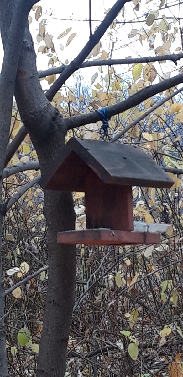 Фото Николая Страхова.